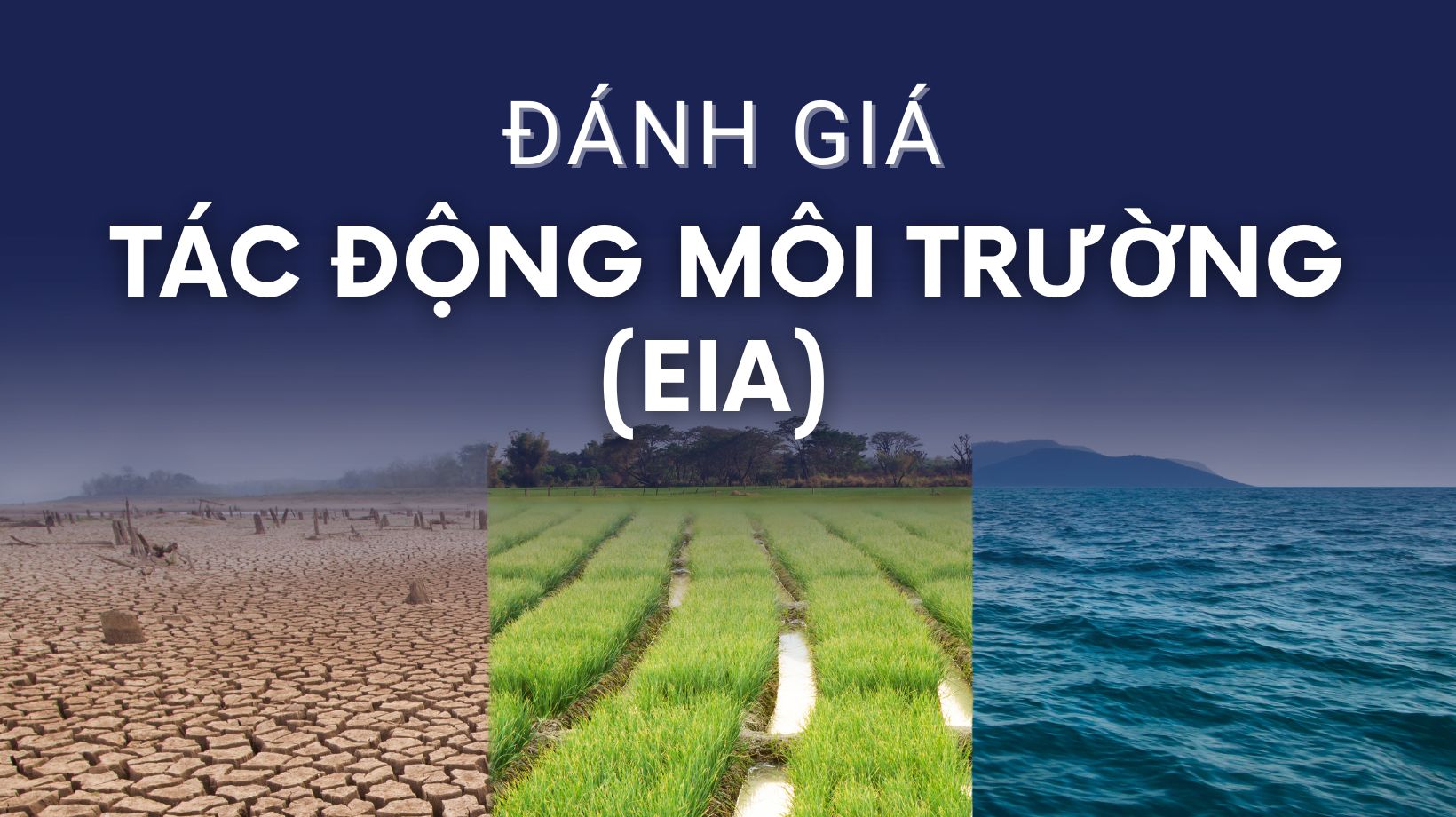 đánh giá tác động môi trường