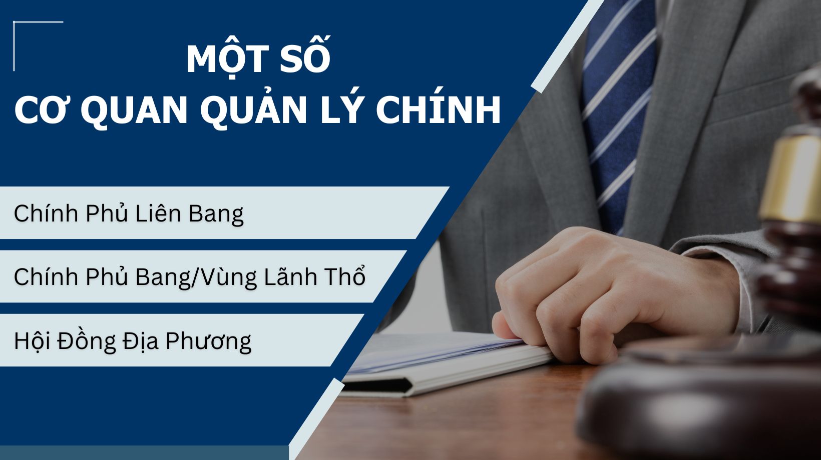 cơ quan quản lý chính